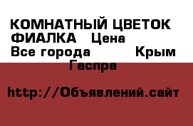 КОМНАТНЫЙ ЦВЕТОК -ФИАЛКА › Цена ­ 1 500 - Все города  »    . Крым,Гаспра